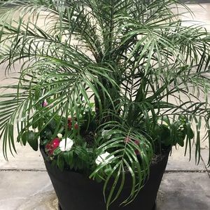 Meet your Posher, Hiddee